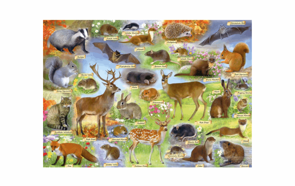 British Wildlife 500 Piece Puzzle by Gibsons - The Jigsaw Cellar