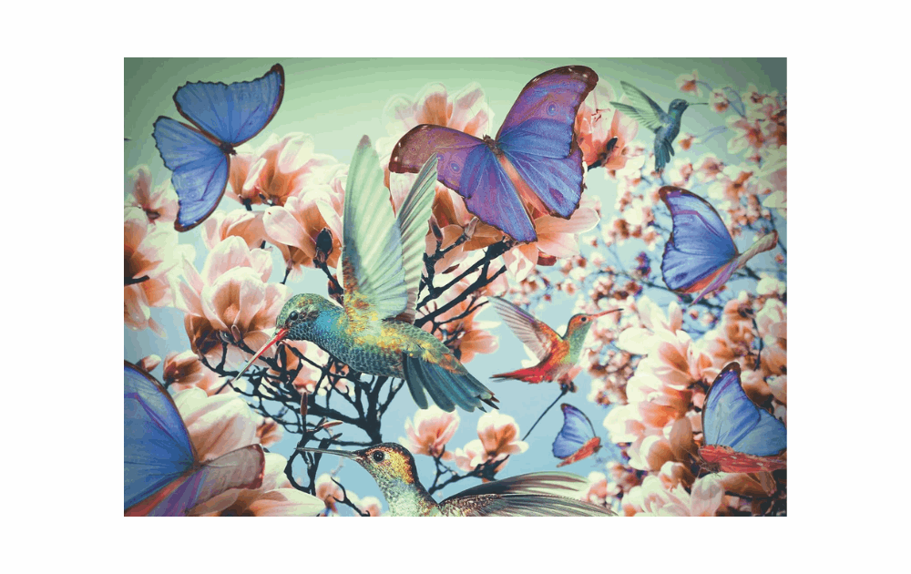 Hummingbirds 300 Piece Puzzle by Ravensburger - The Jigsaw Cellar