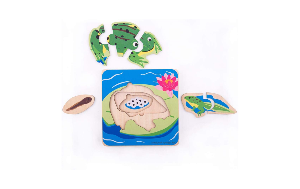 Lifecycle Puzzle - Frog from Bigjigs featuring colourful frog figures and pond scene with 7 pieces