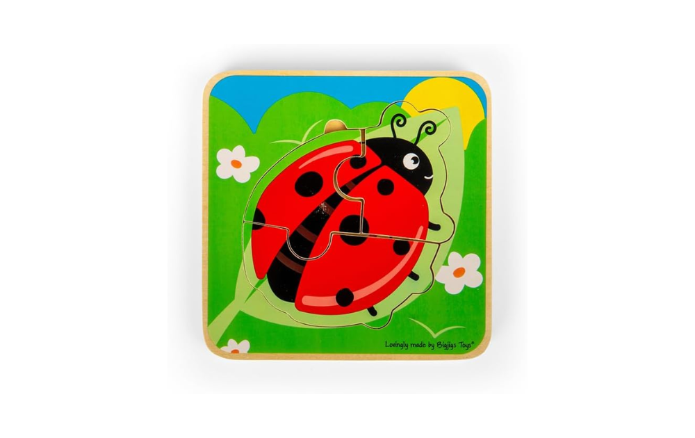 Lifecycle Puzzle - Ladybird from Bigjigs featuring a vibrant red ladybird on a green leaf, 4 pieces