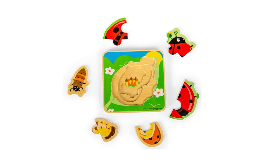 Lifecycle Puzzle - Ladybird from Bigjigs featuring colourful wooden pieces for kids