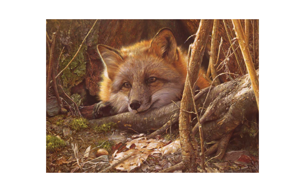 Cobble Hill A Touch of Warmth large puzzle featuring a serene fox resting in its natural habitat