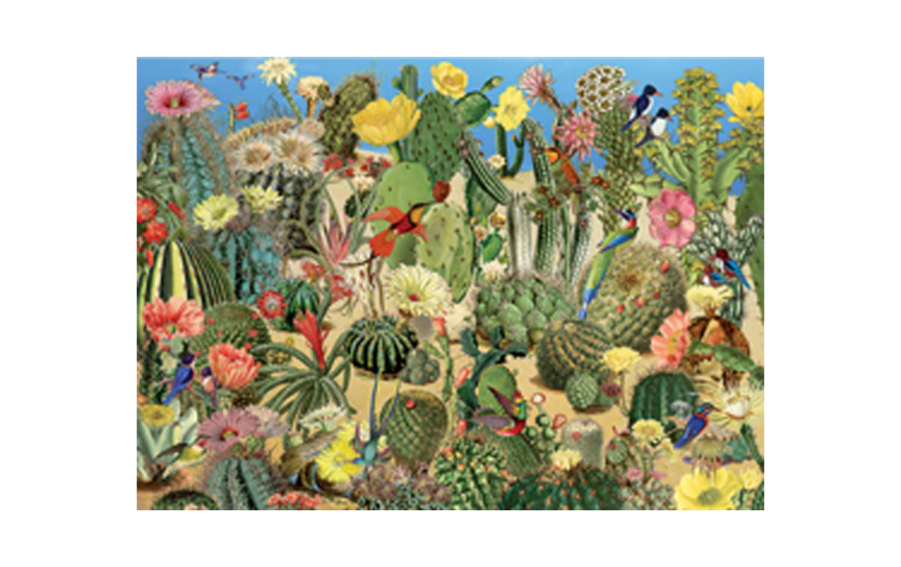 Cactus Garden 1000 Piece Jigsaw Puzzle by Cobble Hill featuring vibrant cacti and flowers