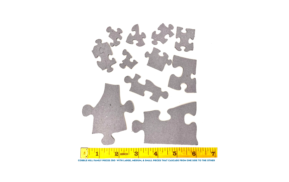 Several pieces of the Cobble Hill S'more Fun jigsaw puzzle with measuring ruler for size reference