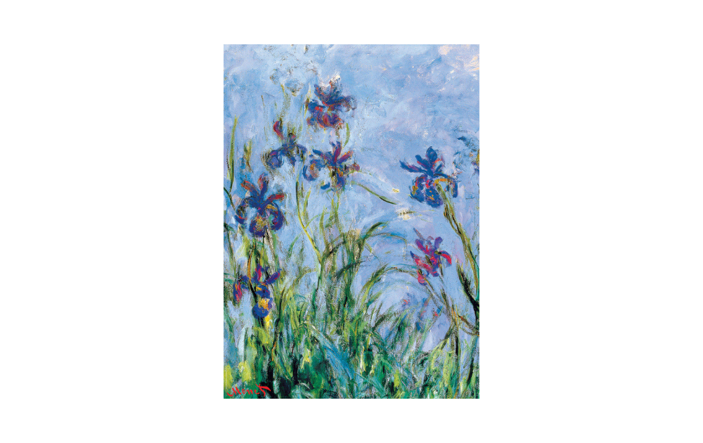 Claude Monet Irises 1000 piece Jigsaw Puzzle by Eurographics featuring vibrant blue and purple flowers
