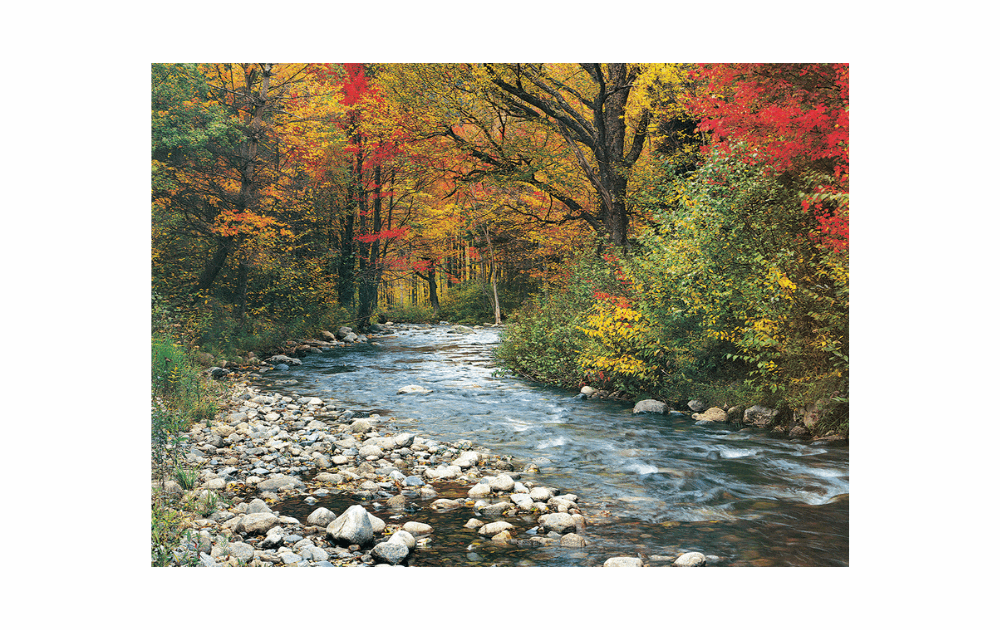 Eurographics Forest Stream puzzle featuring a scenic river surrounded by autumn foliage