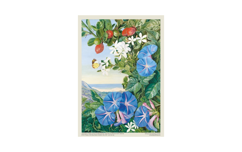 Amathungulu and Blue Ipomoea puzzle featuring vibrant flowers and a coastal background by Flametree