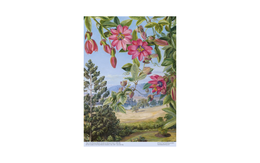 Brisbane Botanic Gardens puzzle featuring vibrant flowers and landscape by Marianne North