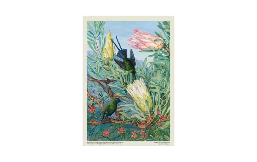 Honeyflowers honeysuckers puzzle featuring vibrant flowers and colorful hummingbirds in a beautiful nature scene