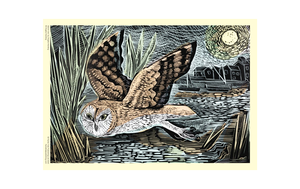 Marsh Owl puzzle by Flametree featuring a beautiful illustration of an owl in flight over a serene landscape