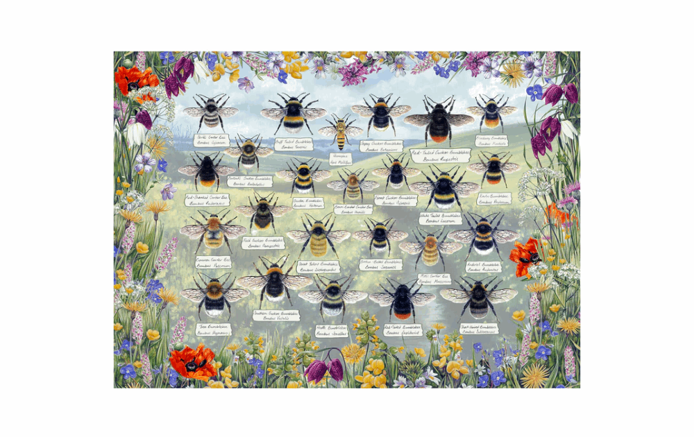 Gibsons Brilliant Bees puzzle featuring various bee species surrounded by colorful wildflowers