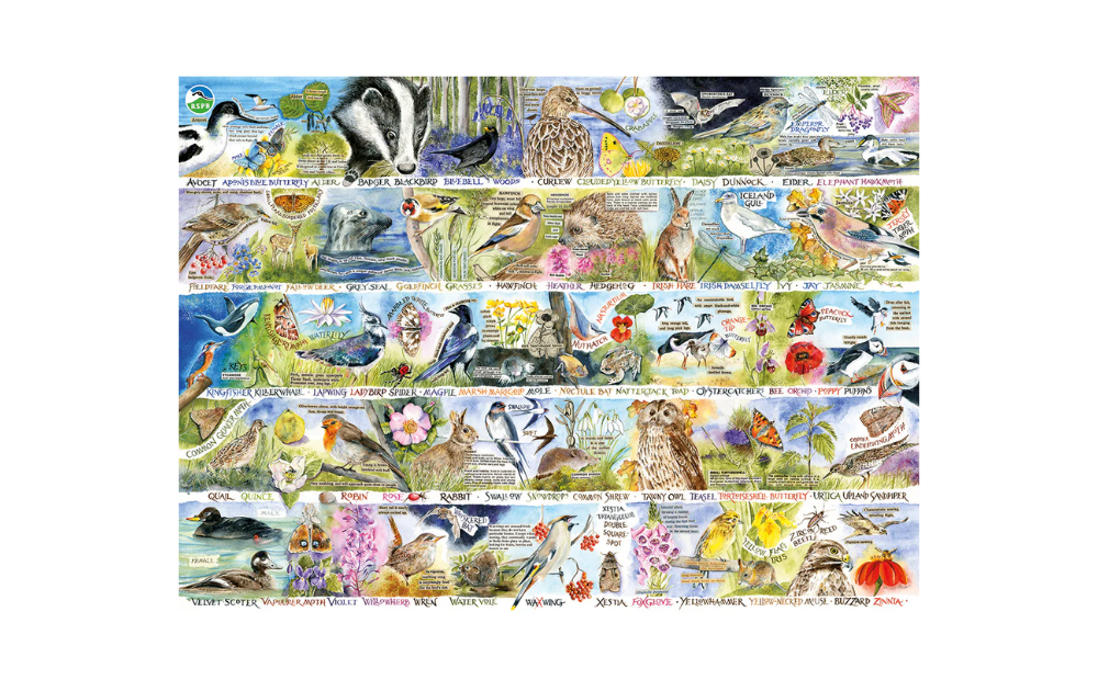 Gibsons Val Goldfinch jigsaw puzzle for adults featuring vibrant birds and flowers in a beautiful design