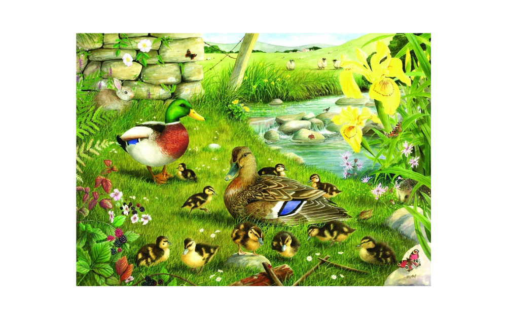 Ducks to Water puzzle 500 pieces featuring a scenic pond with ducks and ducklings in a vibrant natural setting