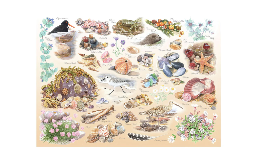 Sea Shore Big 500 Piece Jigsaw Puzzle from House of Puzzles featuring marine life and coastal treasures