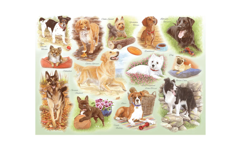 Some of our Best Friends Big 250 Piece Jigsaw Puzzle by House of Puzzles featuring various playful dog breeds