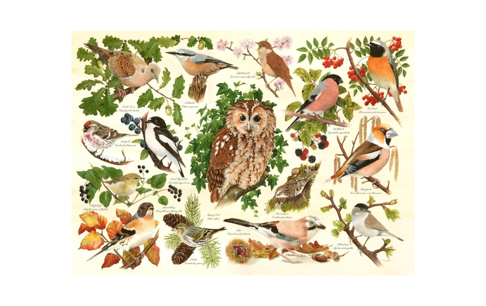 Woodland Birds puzzle featuring various bird species in detailed illustrations by House of Puzzles
