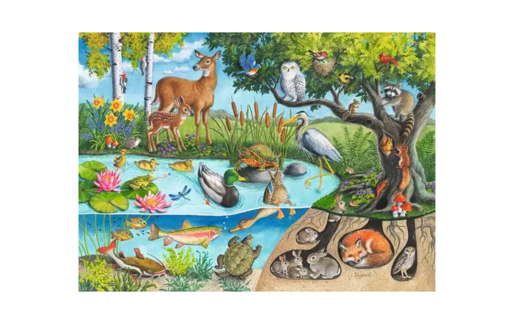 Ravensburger Animals Above and Below jigsaw featuring vibrant wildlife scenes of forest and water habitats
