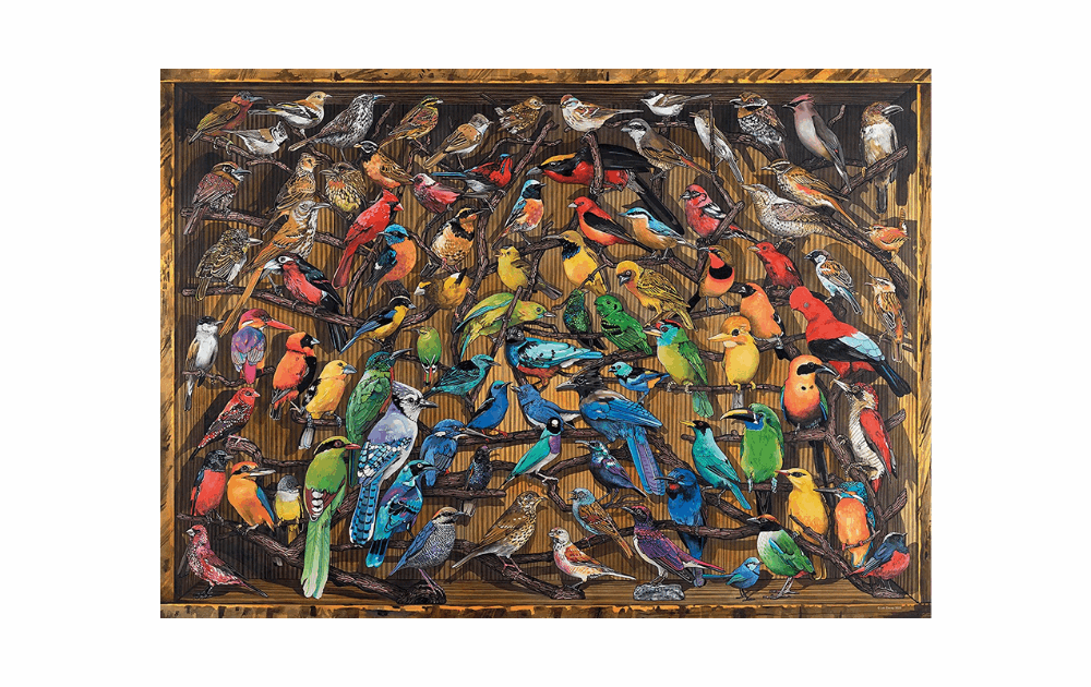 Ravensburger rainbow birds puzzle featuring a vibrant collection of various colorful birds