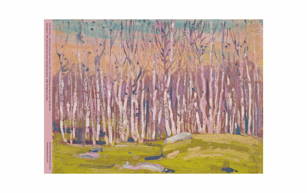 Flametree Silver Birches puzzle 500 piece featuring a colorful painting of white birch trees