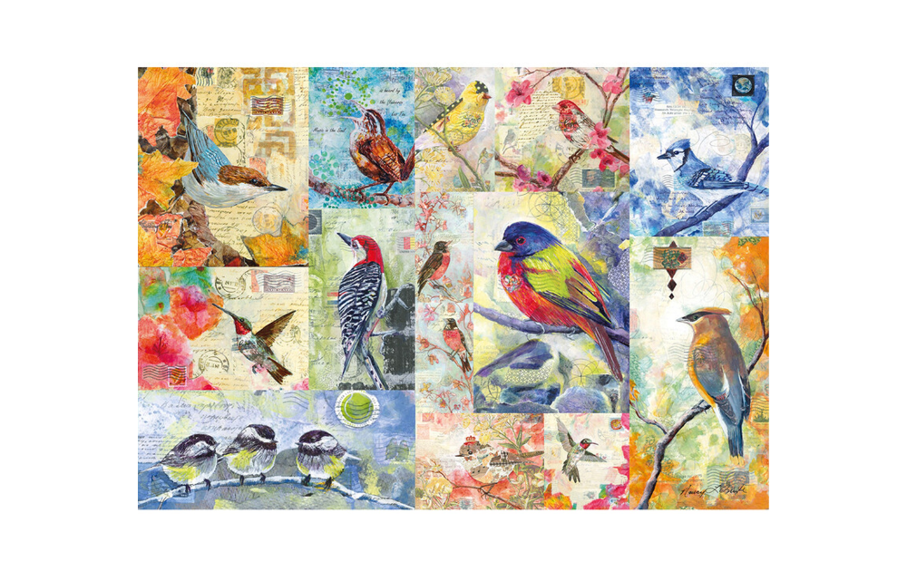 250 piece bird jigsaw puzzle by Wentworth featuring colorful artwork of various birds