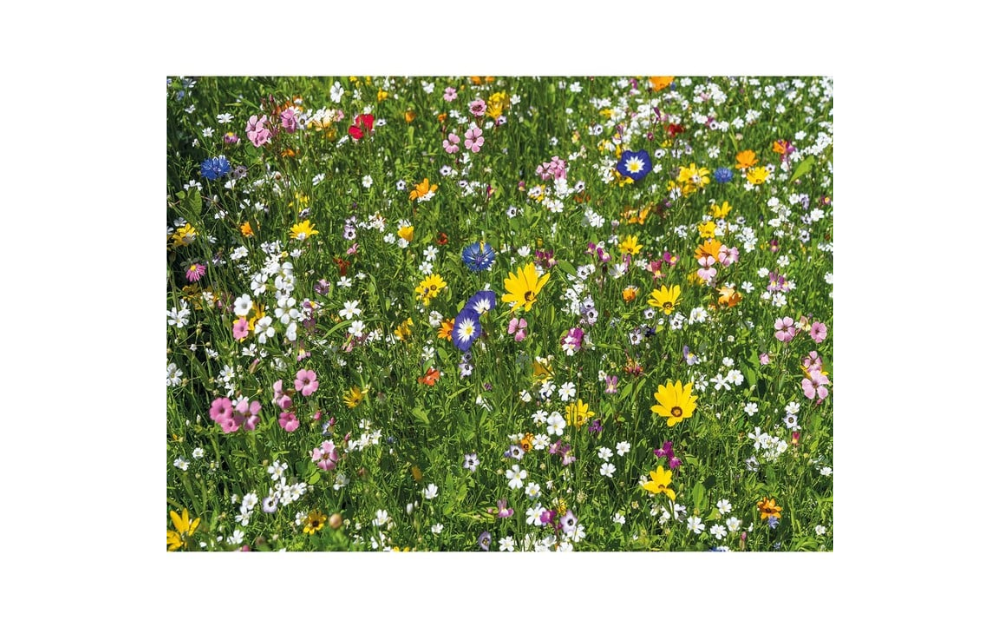 40 piece Wentworth jigsaw puzzle featuring a colorful meadow filled with vibrant flowers