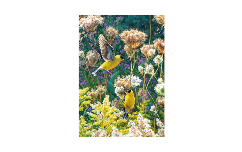 American Goldfinches 250 piece puzzle by Wentworth featuring vibrant goldfinches among flowers
