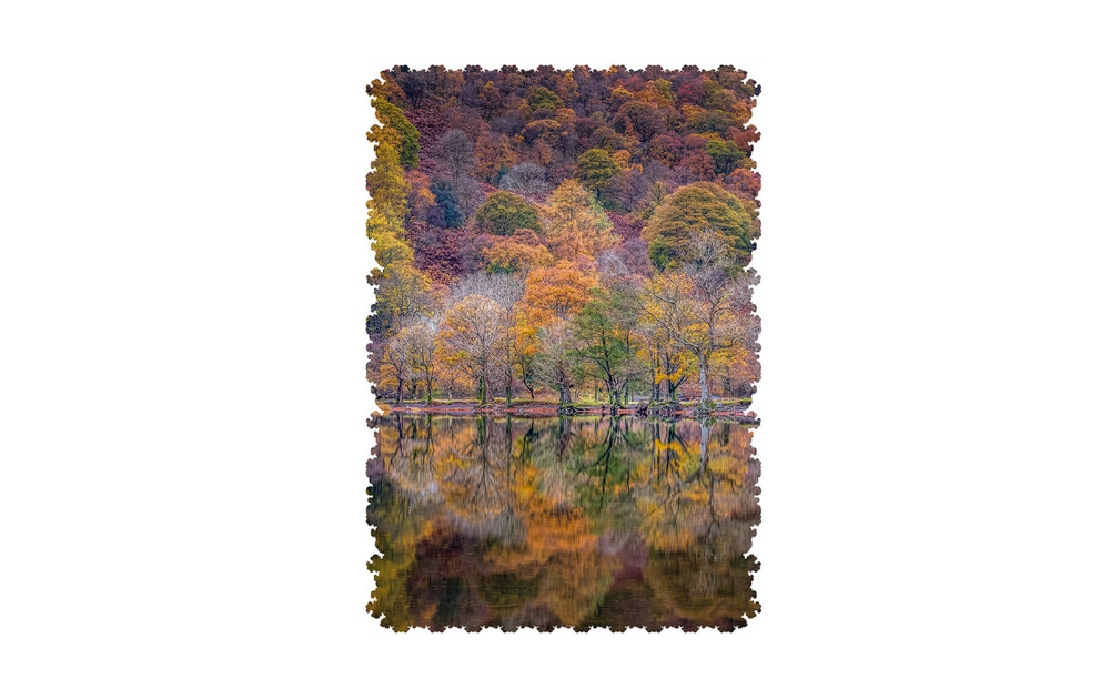 Reflections Upon Autumn 247 piece extra difficult wooden jigsaw puzzle by Wentworth showcasing colorful trees