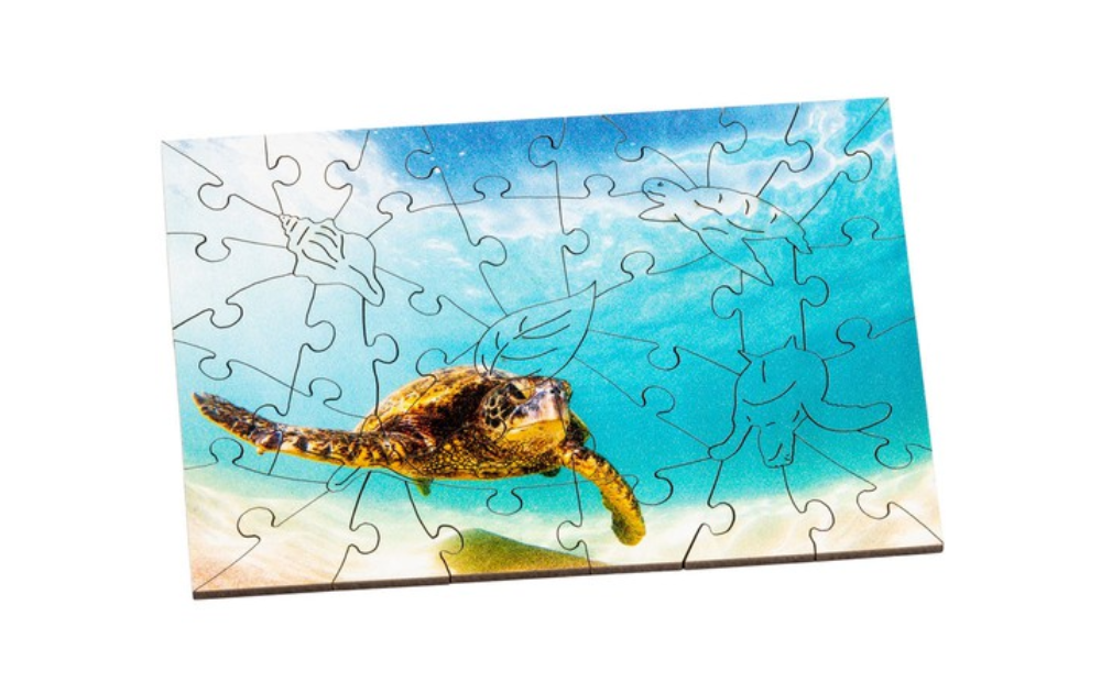 Green Sea Turtle jigsaw puzzle with 40 pieces, featuring a vibrant ocean scene by Wentworth