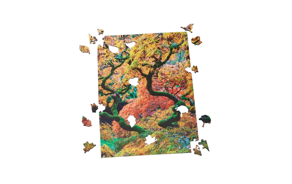 Japanese Maple, Ramster Gardens, Surrey 250 Piece Wentworth Wooden Jigsaw Puzzle showcasing vibrant autumn colours