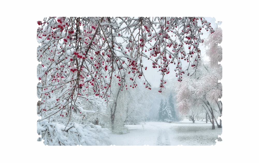 Wentworth wooden jigsaw puzzles featuring a serene snowy landscape with red berries